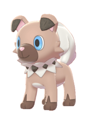 rockruff!!